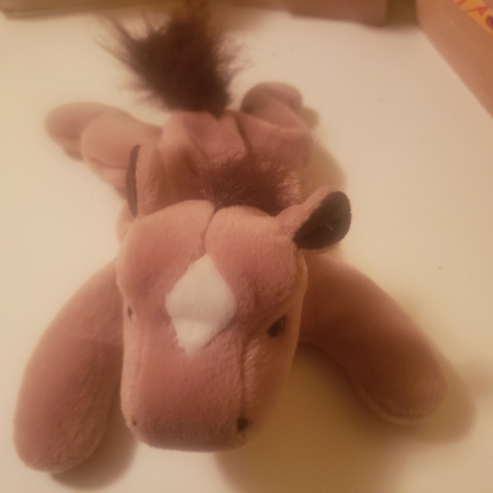 Ty beanie baby derbie